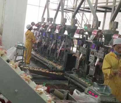 豆奶粉袋中袋生产线 Soy milk powder bag-in-bag production line